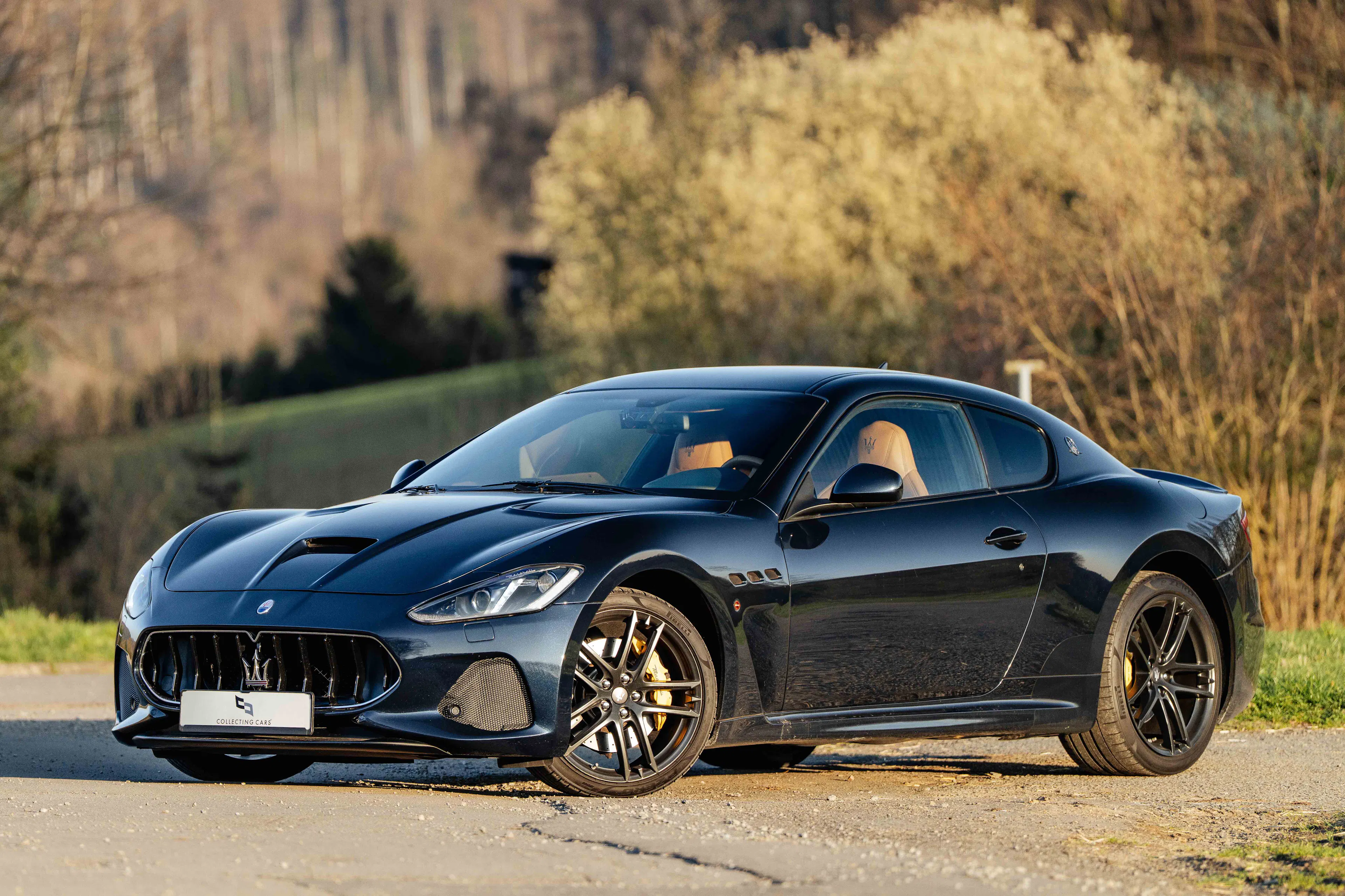 MASI 2018 GIRAMOND旅車 2018 Maserati GranTurismo VIN ZAMVL45J000291838 | Hagerty